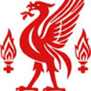 Meet your Posher, Damir